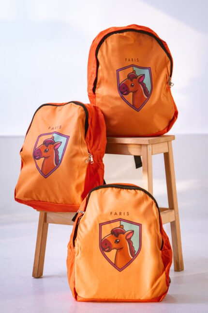 حقيبة فارس المدرسية